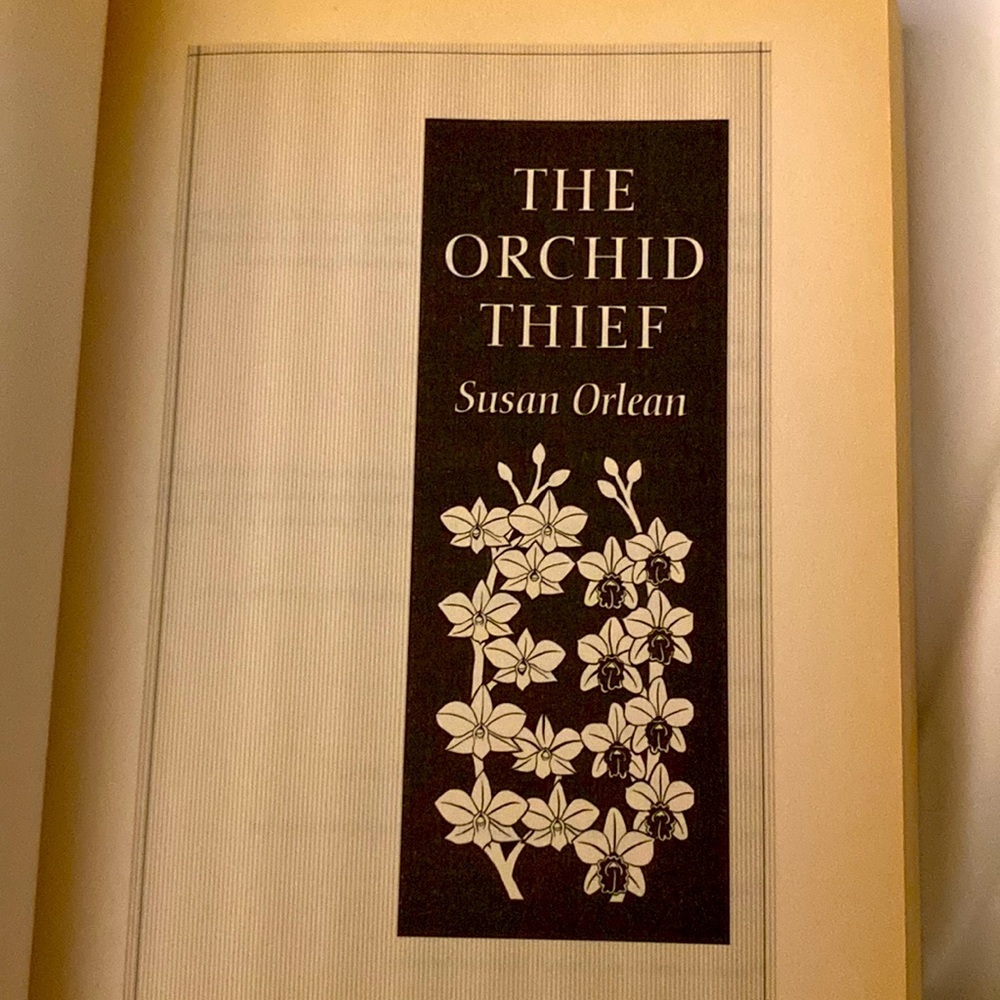 THE ORCHID THIEF A True Story of Beauty and Obsession SUSAN ORLEAN PB EUC - Picture 5 of 5